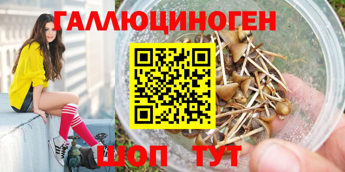 Галлюциногенные грибы Cubensis  Вход с VPN  Галлюциногенные грибы Psilocybine cubensis  Чебаркуль 