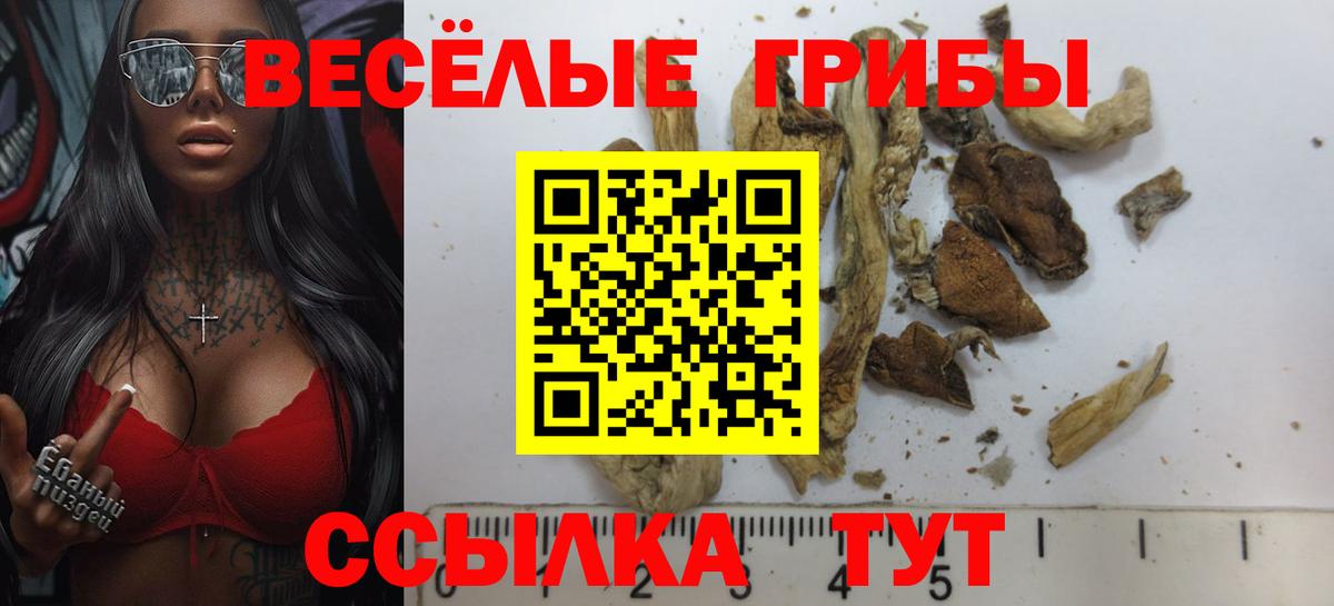 Галлюциногенные грибы прущие грибы Чебаркуль